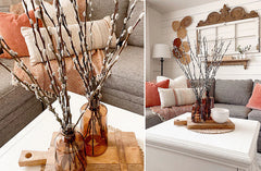 Live Pussy Willow Stem Bundle
