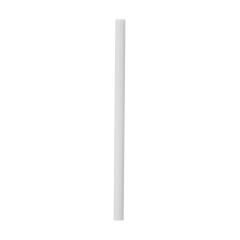 Replacement Straws
