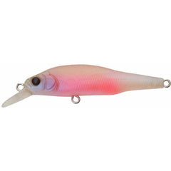 Megabass X-80 JR (BFS)