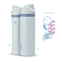 Owala Disney Princess Collection Bottle