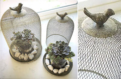 Metal Bird Cloche Set Of 2
