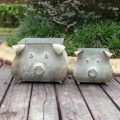 Galvanized Piggy Metal Planters, Set of 2