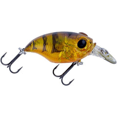 Megabass Griffon SR-X (BFS) Shallow Diving Crankbait - 1.5 Inches