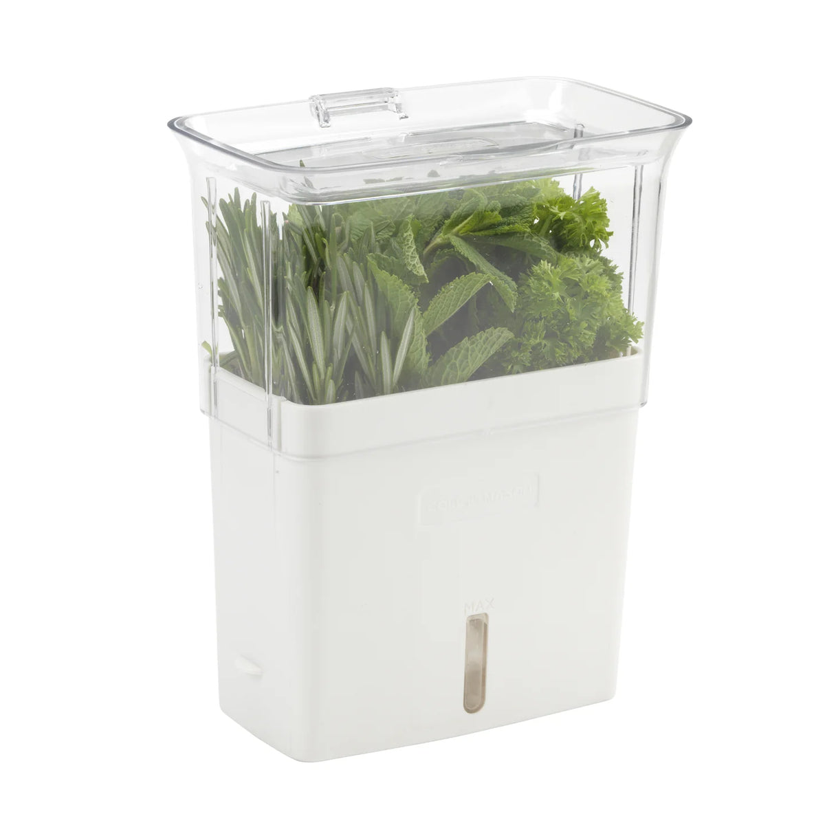 Cole & Mason Cut Fresh Herb Keeper