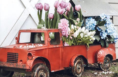 HUGE *48 Inch* Distressed Metal Red Truck with Trailer