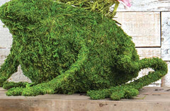 *LARGE* Bunny and Frog Moss Covered Planter